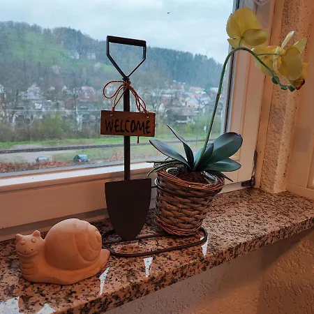 Mikka Guest house Elzach